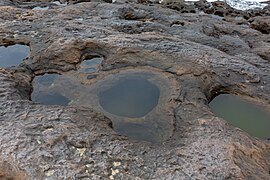 20190415 Yehliu geopark tide pool-2.jpg