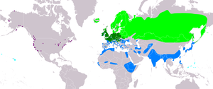 Tutmonda arealo; verde : tutjare; flave : somere; blue : vintre