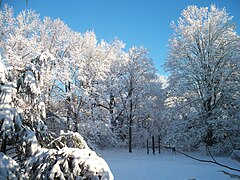 Backyard winter Hancock Village Brookline Town Massachusetts New England.jpg