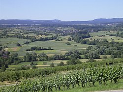 Countryside of Keltern