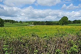 Le bocage, près de Couzon.