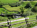 Falschauerbach im Ultental