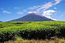 Gunung Kerinci