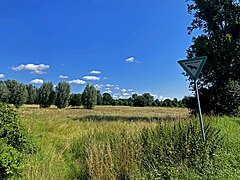 Feuchtwiesen im nordöstl. Bereich