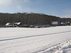 Das winterliche Quernholz