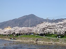 Pohled na horu Hiei a rozkvetlé sakury z Kjóta