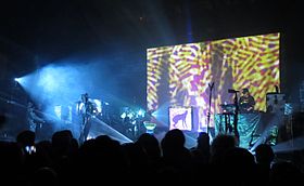 Skinny Puppy live at the Vic Theatre in 2014