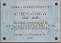 Szepesi György