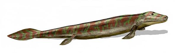 Tiktaalik (Sarcopterigio)