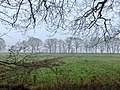 Zondagsbroek (Nationaal Park De Drentsche Aa)