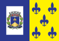 Bandeira de Descalvado