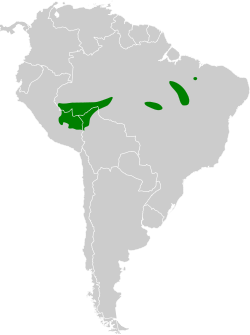 Distribución geográfica del hormiguero del Manu.