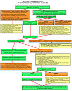 Enfermedad Celíaca - Diagrama errores diagnósticos.DIAGNÓSTICO.jpg