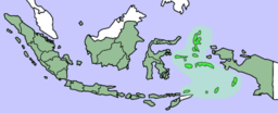 Molukkane markerte med lysegrønt, Indonesia med grønt.