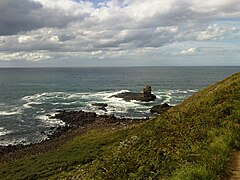 Looking down onto rock stack at Giant's Causeway - geograph.org.uk - 6481404.jpg