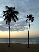 Los Bordones, Cumaná, Venezuela - panoramio - Guillermo Esteves.jpg