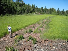 The Minong Mining Company Tramway remnants as they appeared in 2009