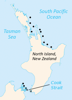 Distribución actual de tuatara (en negro):[1]​[2]​[3]​ Los círculos representan el tuátara de la Isla Norte y los cuadrados el tuátara de la Isla Brothers. Los símbolos pueden representar hasta siete islas.
