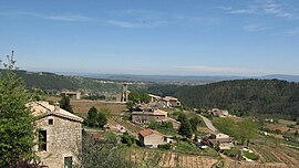 A general view of Ribes