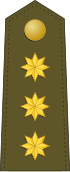 Divisa de coronel