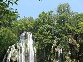 Selva seca Tamasopo, San Luis Potosí