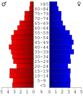 Bevolkingspiramide McLean County