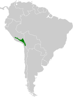 Distribución geográfica del canastero de Arequipa.