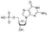 Estructura quimica de la desoxiguanosina monofosfat