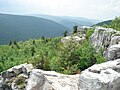 Dolly Sods Wilderness in West Virginia, seen from atop Breathed Mountain