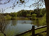 Lake at East Roswell Park