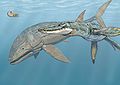 Un Pliosaurus (dreapta) hărțuiește un Leedsichthys în marea jurasică.