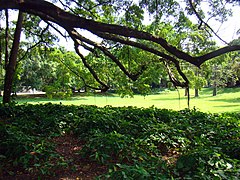 Praça da República (Rio de Janeiro) (3199875030).jpg