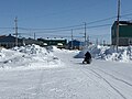 Street view in winter