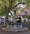 Der Brunnen vor der Kirche St. urban in Freiburg Herdern