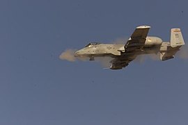 US Air Force 080423-f-0104s-002 A-10 Thunderbolt II "Warthog".jpg