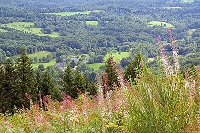 Vue du village de Freysselines depuis le suc au May.