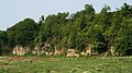 * Nomination abandoned stone quarry in Weinstadt, Germany --Megatherium 15:12, 12 June 2018 (UTC) * Promotion There are some spots in the sky, please remove. --Basotxerri 17:14, 12 June 2018 (UTC)  Done I assume at least some of the spots have been flying insects, but anyways... --Megatherium 18:36, 12 June 2018 (UTC) Thank you! --Basotxerri 15:36, 13 June 2018 (UTC)