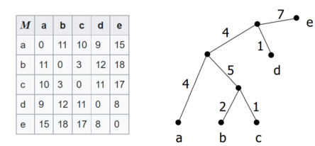 Additive distance matrix (left) and its phylogeny tree (right)