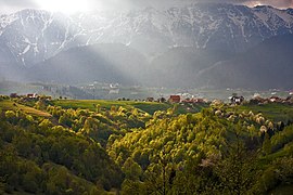 Monti del Piatra Craiului