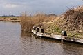 Fammensrakken Mûzekamp, Boornzwaag.