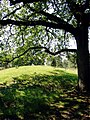 Grafheuvel (Tumulus) Kampsheide