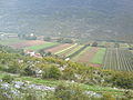 Ljubinjsko polje