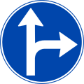 Drive straight or turn right