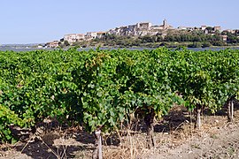 A general view of Bages, seen from a vineyard