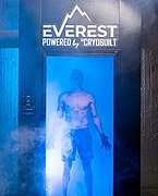 Whole Body Electric Cryotherapy Chamber.jpg