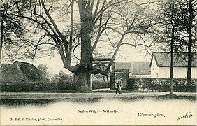 Withof Oelegemse steenweg 1910.jpg