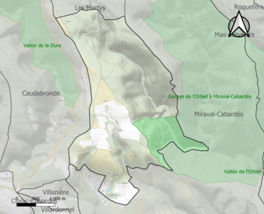 Carte de la ZNIEFF de type 1 sur la commune.