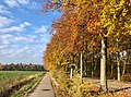 boswachterij Gieten-Borger