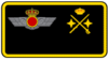 General de división