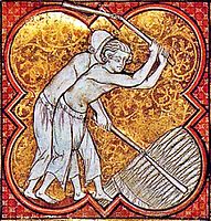 French peasants threshing with flails c. 1270.